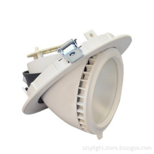 led downlight rotatable from Rise lighting COB Cree with Lifud driver